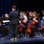 students play stringed instruments